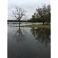 Norfolk mid November high tide and Storm event image